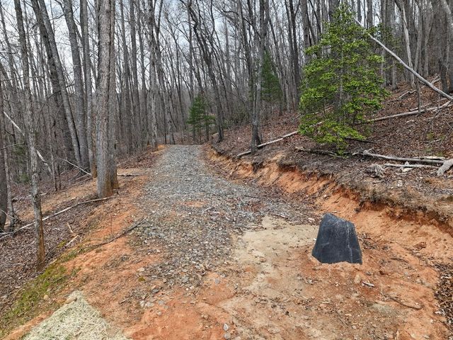 472 Hogsed Drive, Hayesville, NC 28904