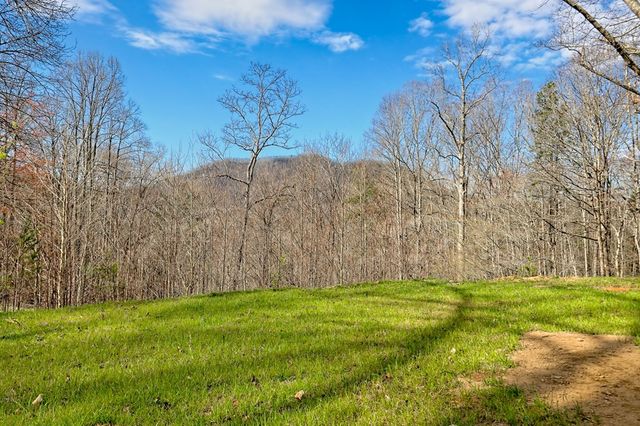 472 Hogsed Drive, Hayesville, NC 28904