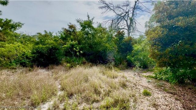 246 Thurman Avenue, Lake Placid, FL 33852