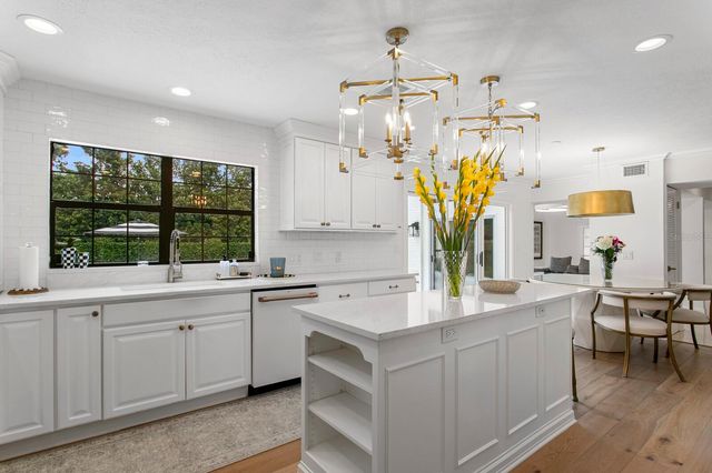 1001 BAJADA DE AVILA, Tampa, FL 33613