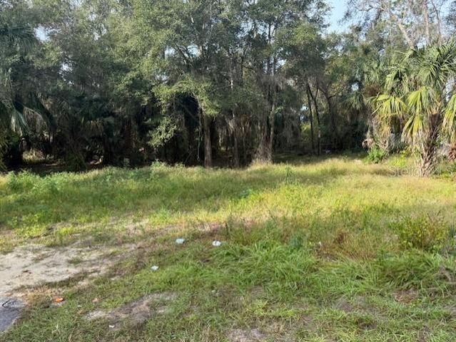 1502 CARVER STREET, Deland, FL 32720