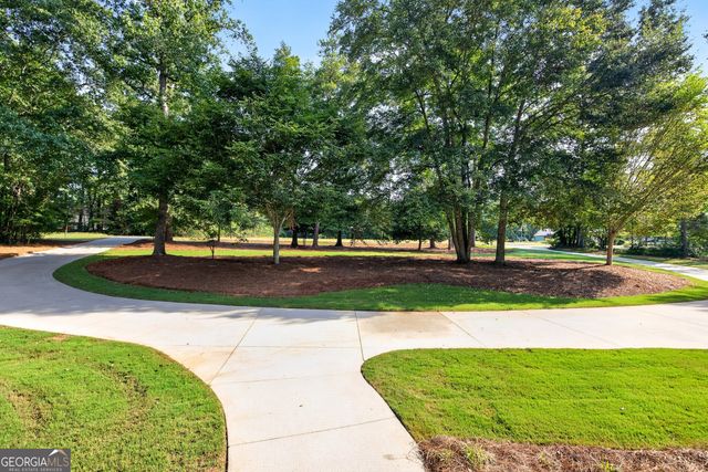 1541 Palmetto Tyrone Road, Sharpsburg, GA 30277