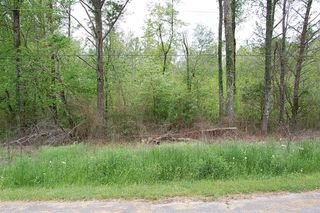 66 51st Avenue, Gruetli Laager, TN 37339