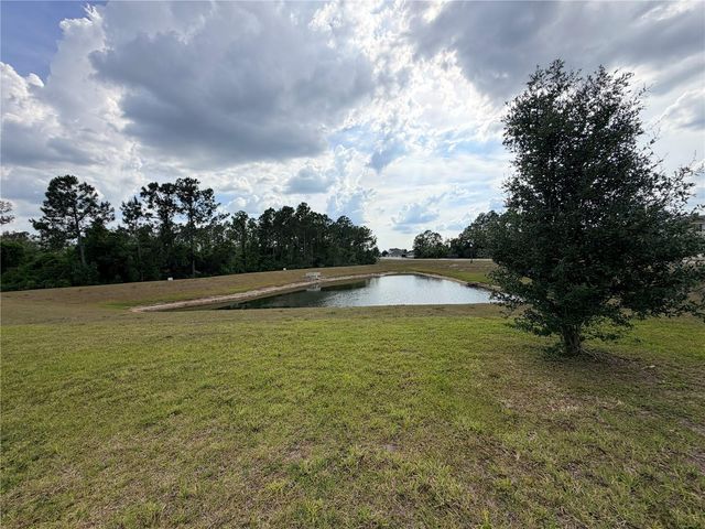16419 GLASSY LOCH LOOP, Clermont, FL 34714
