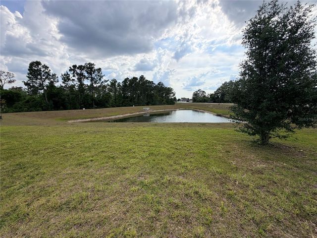 16419 GLASSY LOCH LOOP, Clermont, FL 34714
