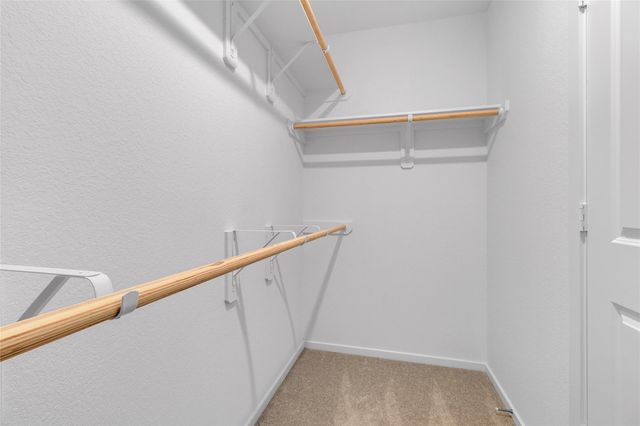 18031 Trepito Ave, New Caney, TX 77357