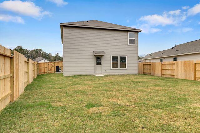 18031 Trepito Ave, New Caney, TX 77357