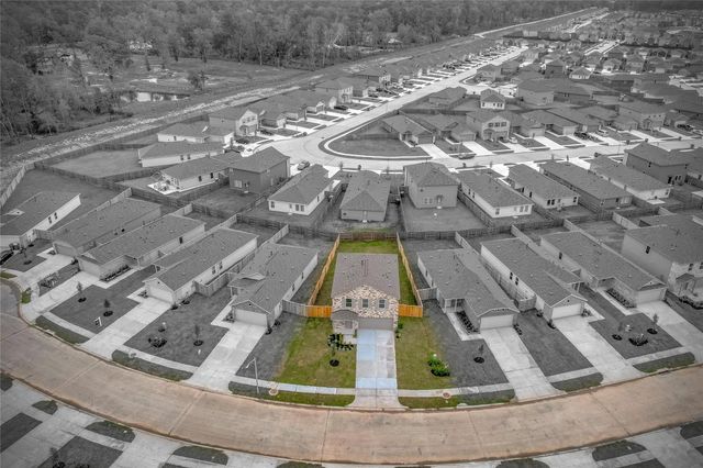 18031 Trepito Ave, New Caney, TX 77357