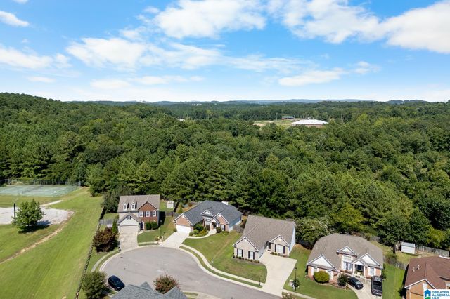 1342 OLD CAHABA COVE, Helena, AL 35080