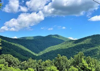 TBD OVERLOOK MOUNTAIN RD, Elkton, VA 22827