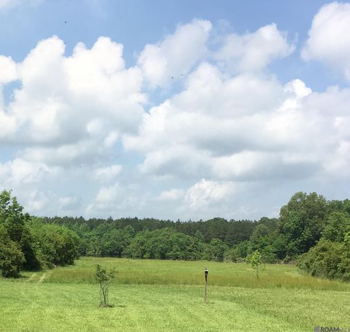 16823 Old Scenic Hwy, Zachary, LA 70791