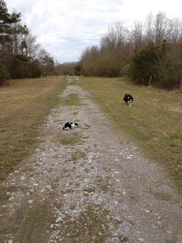 16823 Old Scenic Hwy, Zachary, LA 70791