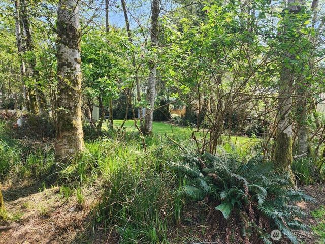 284 Duck Lake Drive NE, Ocean Shores, WA 98569