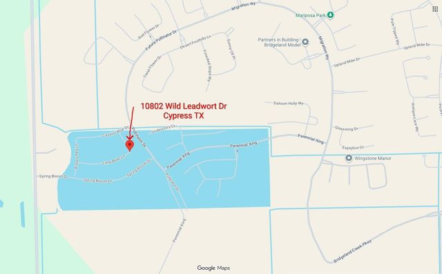 10802 Wild Leadwort Drive, Cypress, TX 77433
