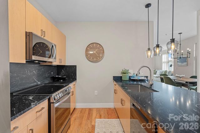 1101 W 1st Street 315, Charlotte, NC 28202