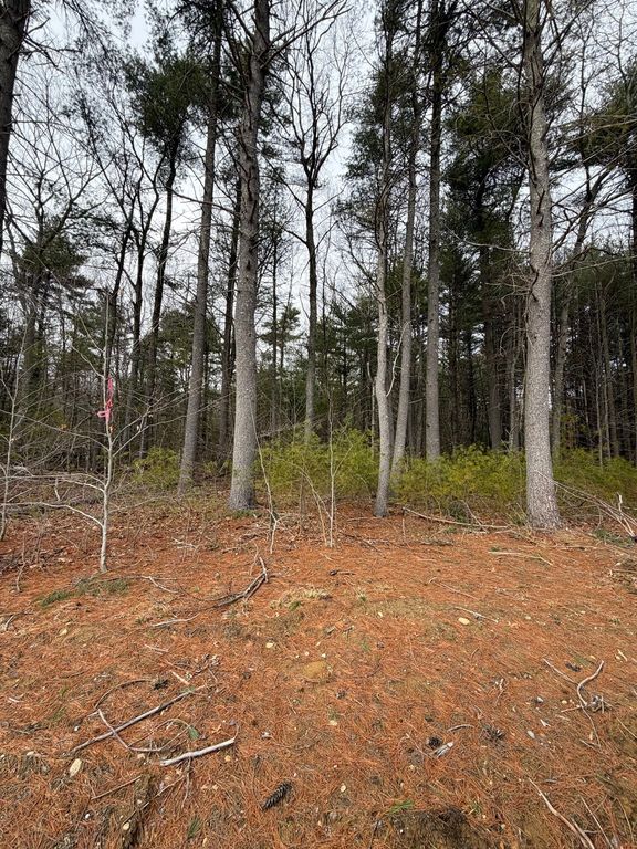 0 Pine St, Raynham, MA 02767