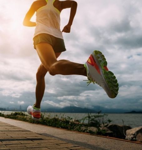 33 Pond Avenue 312, Brookline, MA 02445