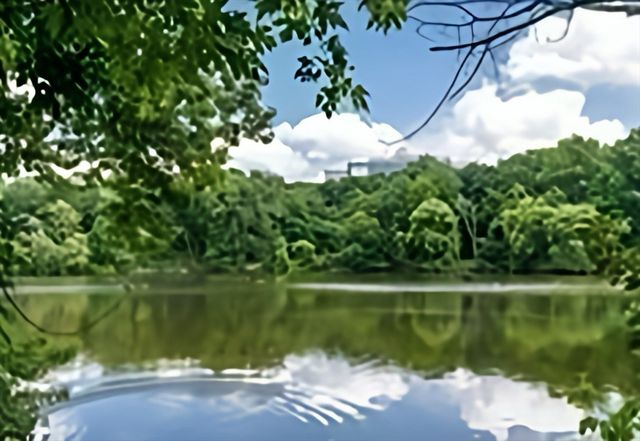 33 Pond Avenue 312, Brookline, MA 02445