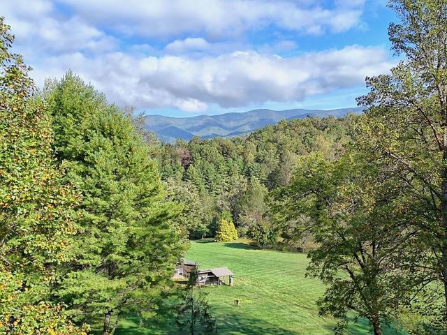 206 Peckerwood Road, Hayesville, NC 28904