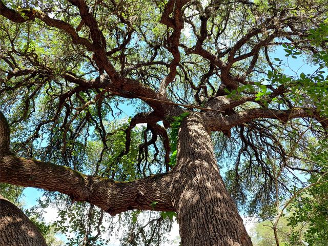 4553 McCall Creek RD, Blanco, TX 78606
