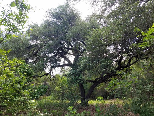 4553 McCall Creek RD, Blanco, TX 78606