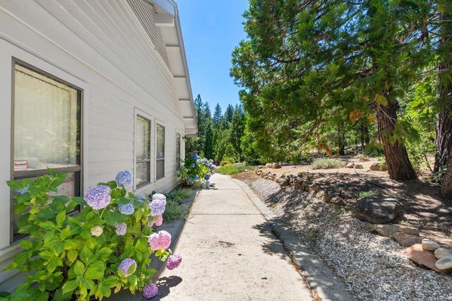 928 Bear Run, Arnold, CA 95223