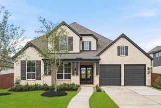 8919 Blue Grotto Lane, Manvel, TX 77578