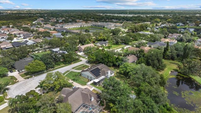 8805 CROSSWOOD COURT, Riverview, FL 33578