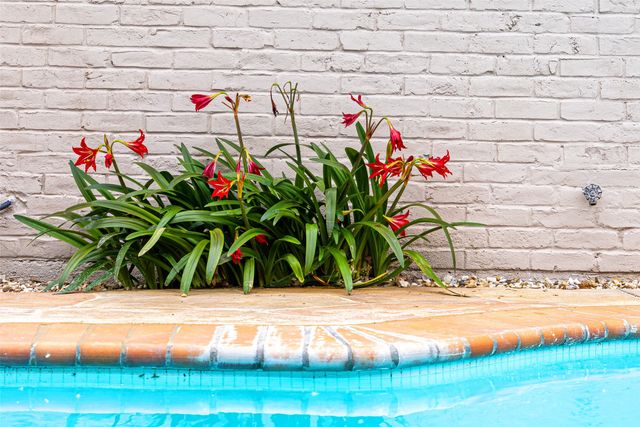 6817 Ledyard Drive, Dallas, TX 75248