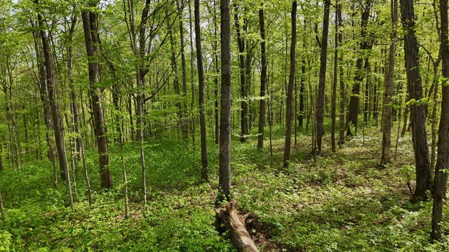 2 Greenbrier Rd, Franklin, TN 37064