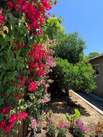 4415 Stone Canyon Drive, San Jose, CA 95136