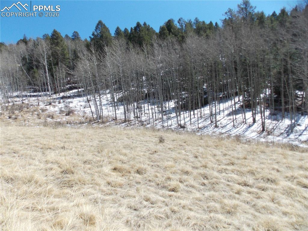 388 Grey Eagle Drive, Cripple Creek, CO 80813 — exterior