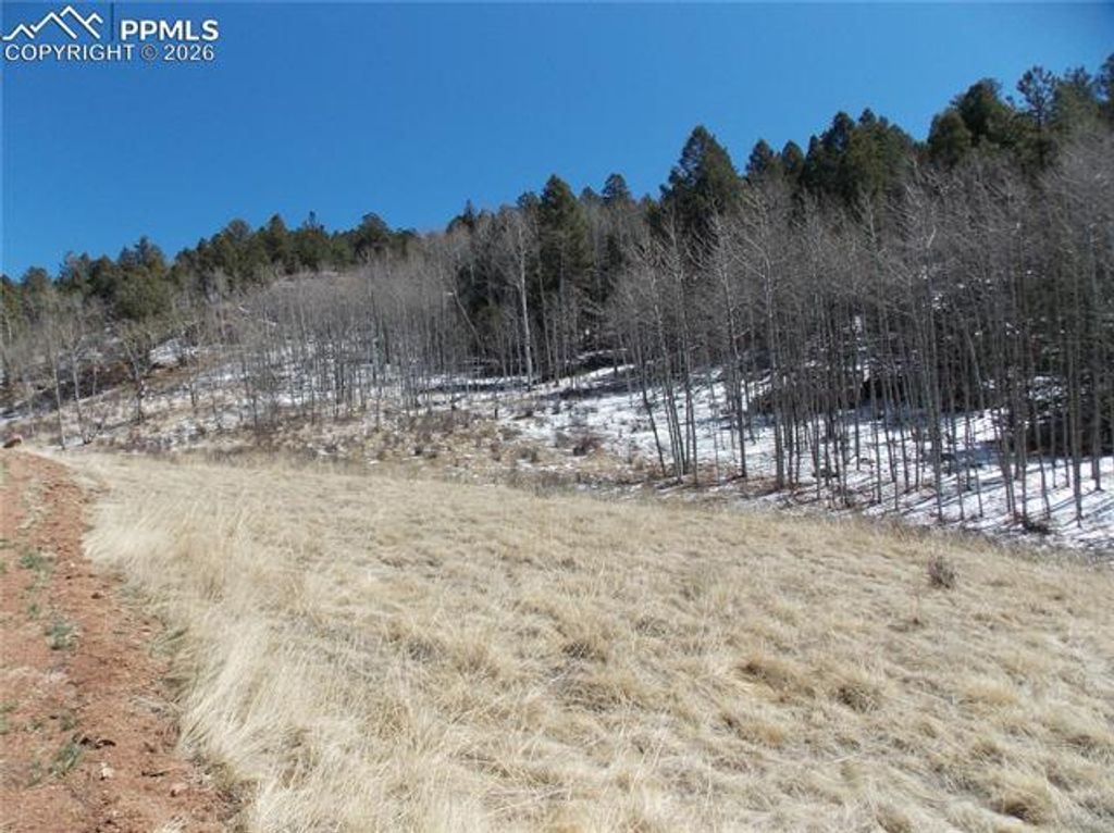 388 Grey Eagle Drive, Cripple Creek, CO 80813 — photo 2
