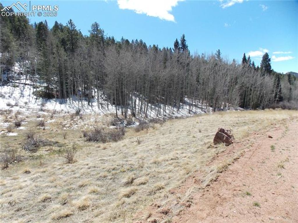 388 Grey Eagle Drive, Cripple Creek, CO 80813 — photo 3