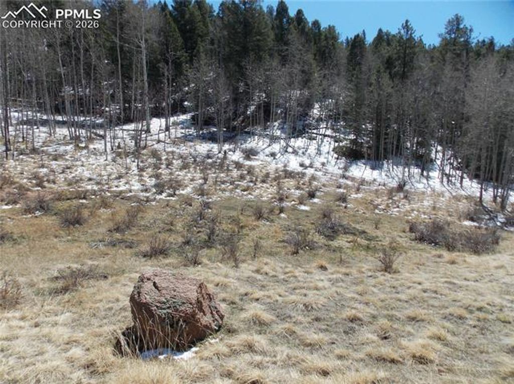 388 Grey Eagle Drive, Cripple Creek, CO 80813 — photo 4