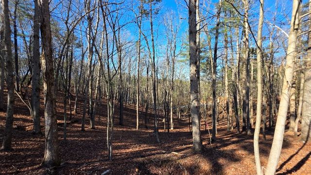 128R Red Oak Trail, Ellijay, GA 30540
