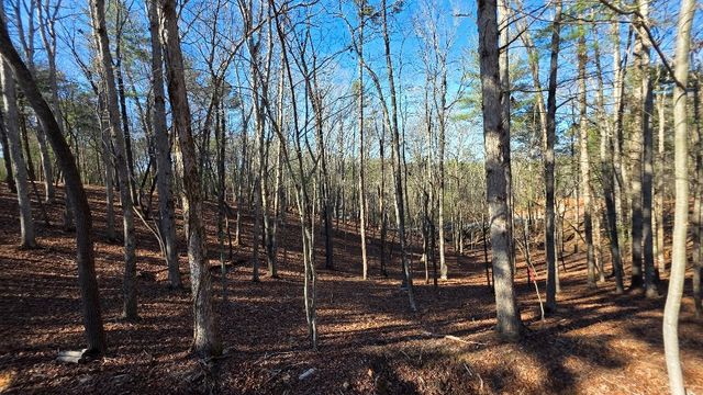 128R Red Oak Trail, Ellijay, GA 30540