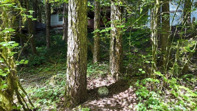 246 Schinn Canyon Court, Deming, WA 98244
