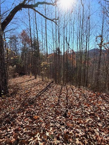 Lot 13 View Ridge Trail, Murphy, NC 28906