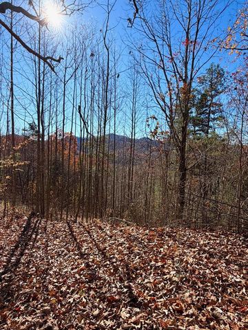 Lot 13 View Ridge Trail, Murphy, NC 28906