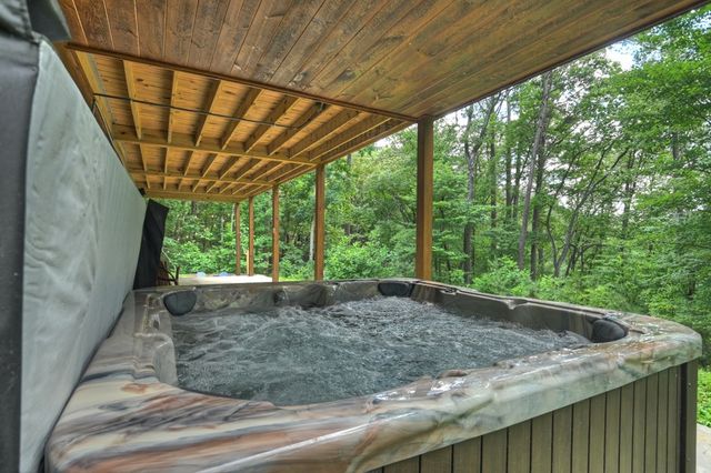 200 Forest View Lane, Mineral Bluff, GA 30559