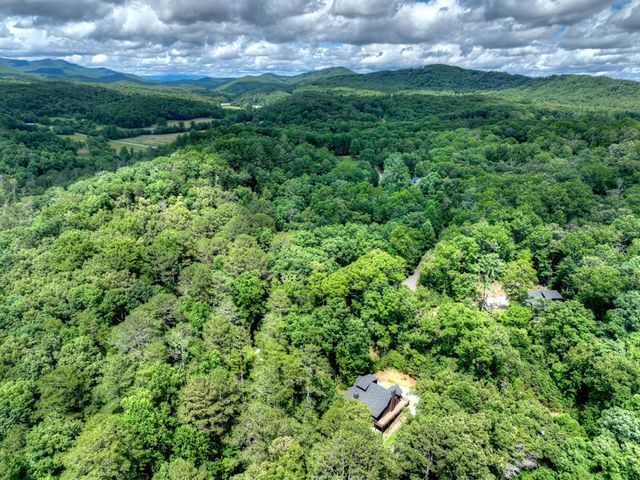 200 Forest View Lane, Mineral Bluff, GA 30559