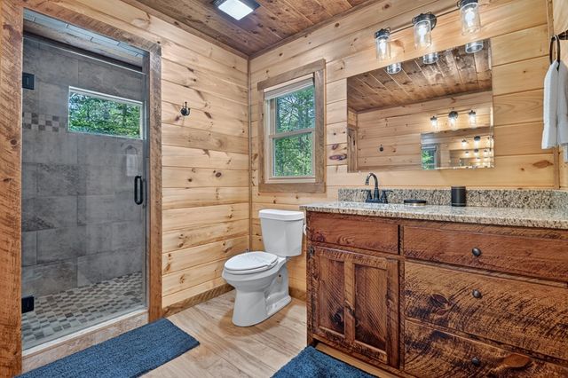 200 Forest View Lane, Mineral Bluff, GA 30559