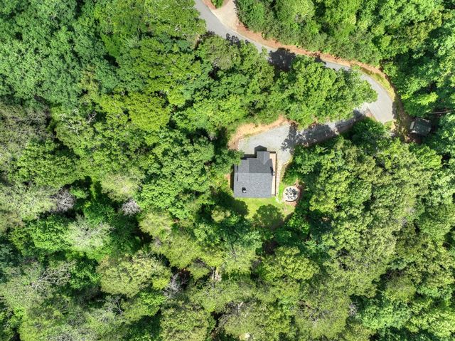 200 Forest View Lane, Mineral Bluff, GA 30559