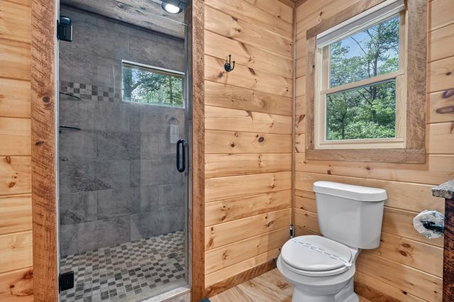 200 Forest View Lane, Mineral Bluff, GA 30559