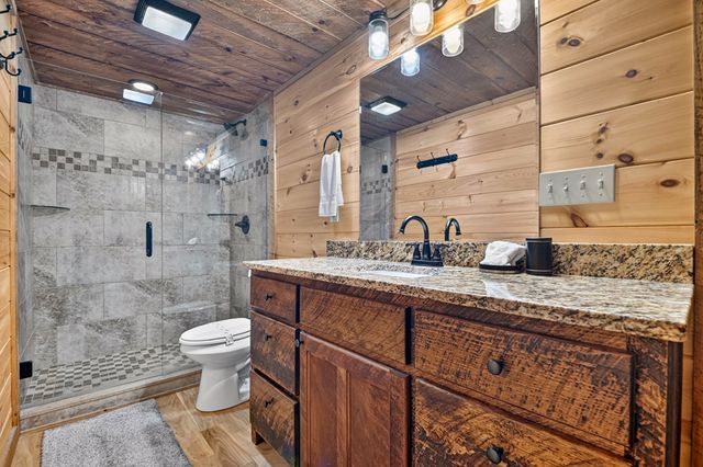 200 Forest View Lane, Mineral Bluff, GA 30559