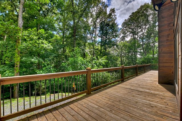 200 Forest View Lane, Mineral Bluff, GA 30559