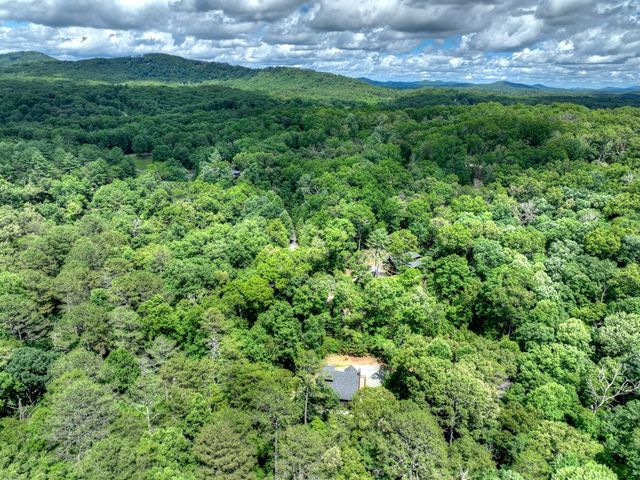 200 Forest View Lane, Mineral Bluff, GA 30559