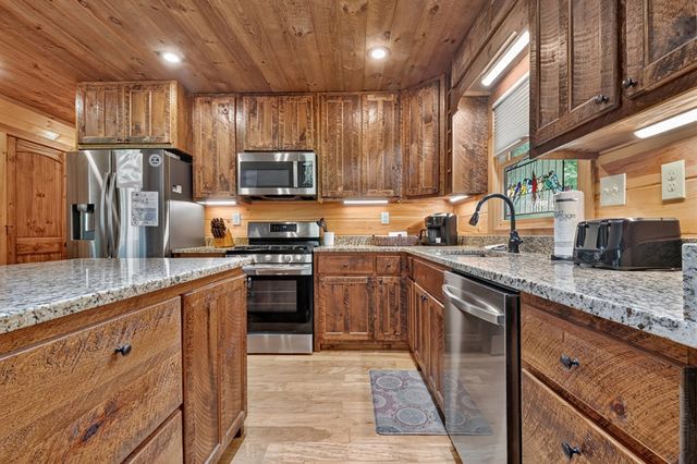 200 Forest View Lane, Mineral Bluff, GA 30559