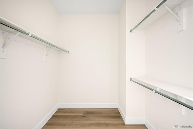 5771 W 91st Place, Westminster, CO 80031